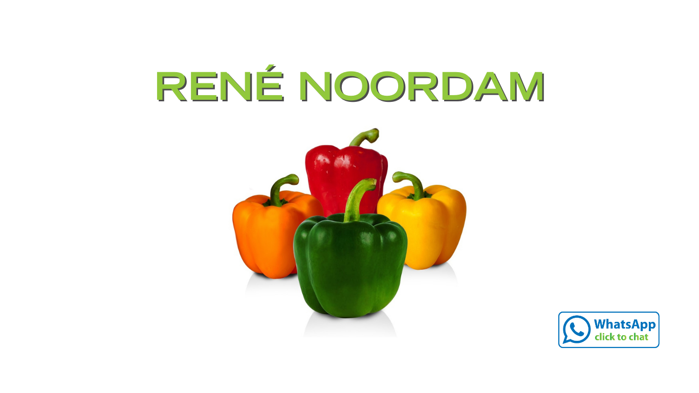 Rene Noordam